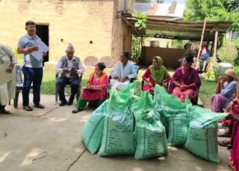 दाङका किसानलाई उन्नत जातको तोरीको बिउ वितरण