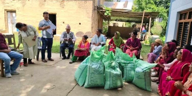 दाङका किसानलाई उन्नत जातको तोरीको बिउ वितरण