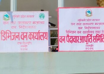 दाङमा सामुदायिक वनको काठ काटेको आरोपमा वडाअध्यक्षसहित ६ जना पक्राउ