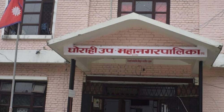 घोराही उपमहानगरले चिकित्सा शिक्षा र इञ्जिनियरिङ पढ्ने विद्यार्थीलाई छात्रवृत्ति दिने