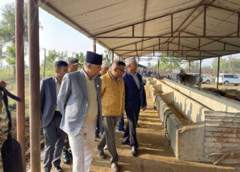 छाडा पशु चौपायाको नश्ल सुधार गरेर उत्पादन क्षमता बढाउने कार्यक्रम ल्याउछौंः मुख्यमन्त्री आचार्य