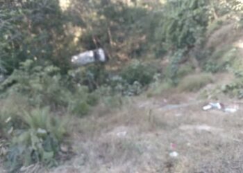 दाङको लमही-९ च्याउखोला नजिक गाडी दुर्घटना : २ जनाको मृत्यु, १२ जना घाइते