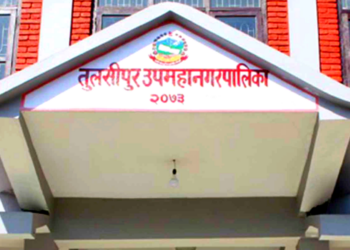 कार्यपालिका निणर्यबाट पछि हट्यो उपमहानगरपालिका