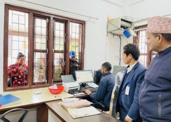 अनलाइनबाटै नयाँ नागरिकता