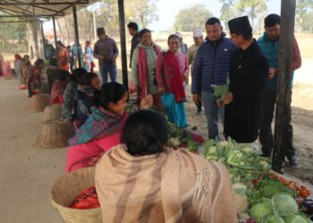 हाट बजार सञ्चालनमा आएपछि किसान उत्साहित