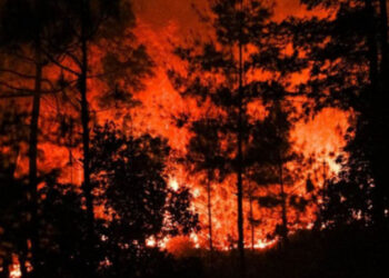 ५ महिनामा आगलागीबाट १६ जनाको ज्यान गयाे