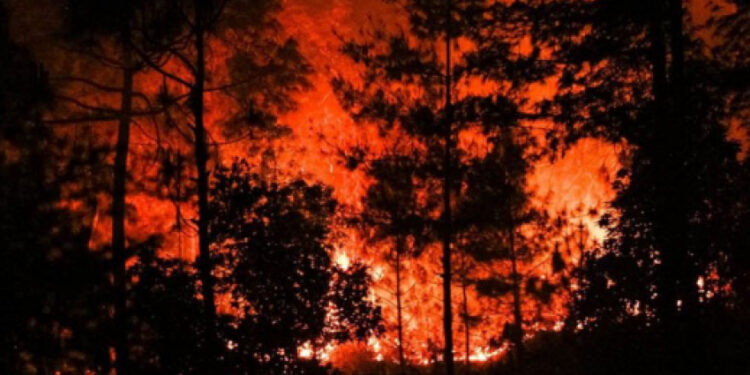 ५ महिनामा आगलागीबाट १६ जनाको ज्यान गयाे