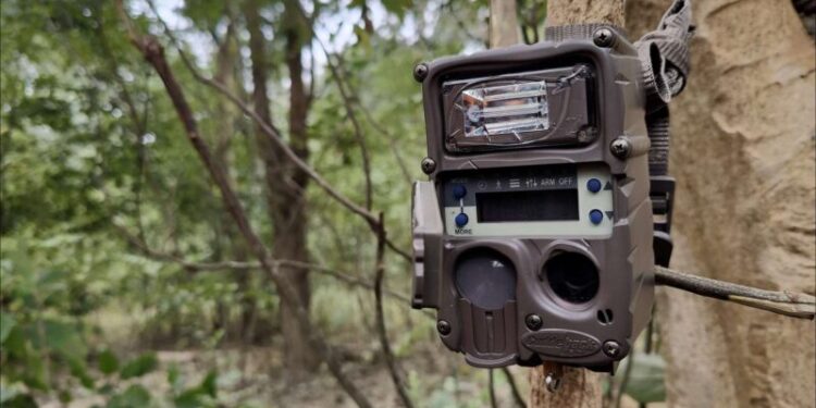 जंगली जनावरको आक्रमणबाट महिलाको मृत्यु भएपछि वनमा क्यामेरा