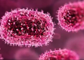 भारतको कर्नाटकमा दुई जना बालबालिकामा ‘एचएमपीभी’ सङ्क्रमण पुष्टि