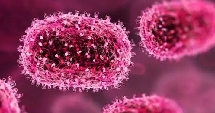 भारतको कर्नाटकमा दुई जना बालबालिकामा ‘एचएमपीभी’ सङ्क्रमण पुष्टि