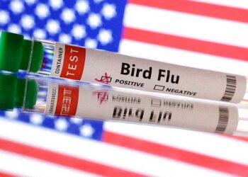 अमेरिकामा ‘बर्ड फ्लु’ बाट पहिलो व्यक्तिको ज्यान गयो