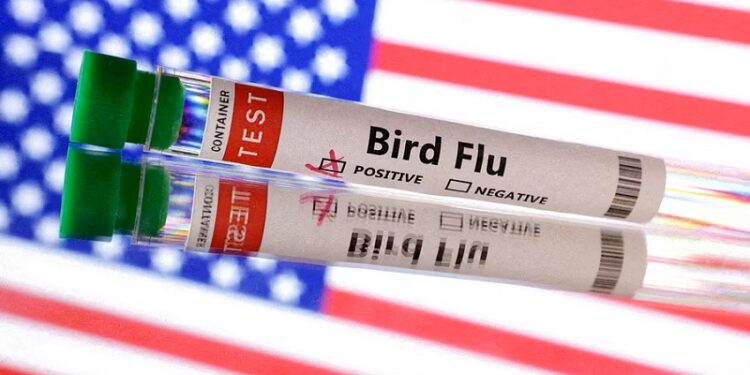 अमेरिकामा ‘बर्ड फ्लु’ बाट पहिलो व्यक्तिको ज्यान गयो