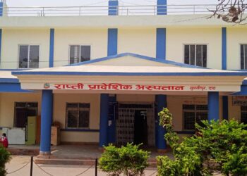 दंगीशरणमा करेन्ट लागेर रुखबाट खस्दा १ जना घाइते