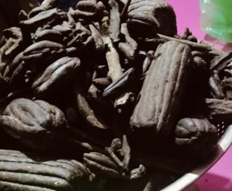 कैलालीमा चरेस र खैरो हेरोइन सहित ५ जना पक्राउ