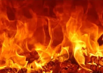 कैलालीको लम्कीमा जुत्ताचप्पल गोदाममा भीषण आगलागी ७० लाख बढीको क्षति