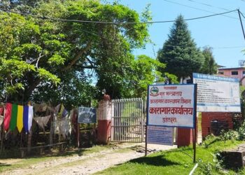 डडेल्धुरा कारागारबाट भागेका ८० कैदी पक्राउ