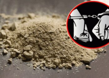 कैलालीमा दुईजना लागूऔषधसहित पक्राउ