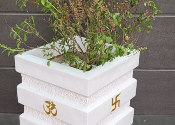 हरिबोधिनी एकादशी आज  तुलसी विवाह गरी सनातन धर्मावलम्बीले मनाउँदै