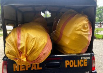 दार्चुलामा ४३ हजारभन्दा बढीका भन्सार छली सामान बरामद