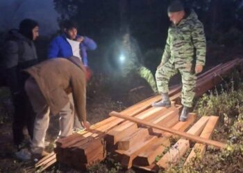 कैलाली चुरेमा अवैध वन फँडानी ठूलो परिमाणमा सालको काठ बरामद