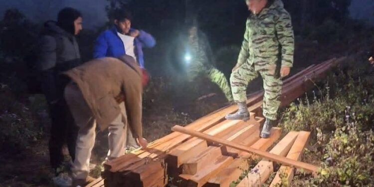कैलाली चुरेमा अवैध वन फँडानी ठूलो परिमाणमा सालको काठ बरामद