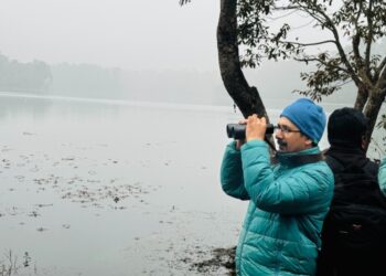 घोडाघोडी सिमसारमा जलपंक्षी गणना सुरु चरा सङ्ख्या घट्दो चिन्ता